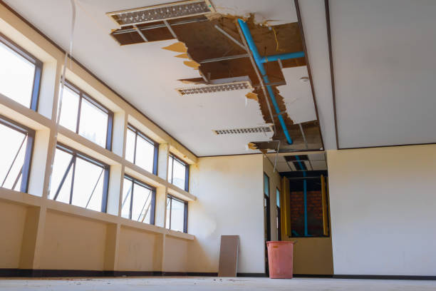 Best Water damage contractors near me  in Meadow Les, AK