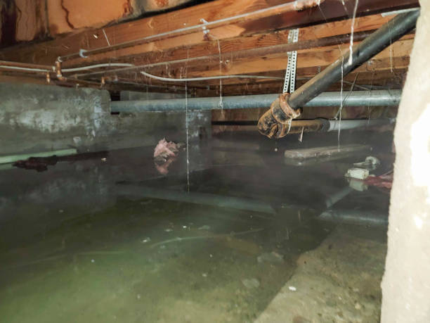  Meadow Les, AK Water damage restoration Pros
