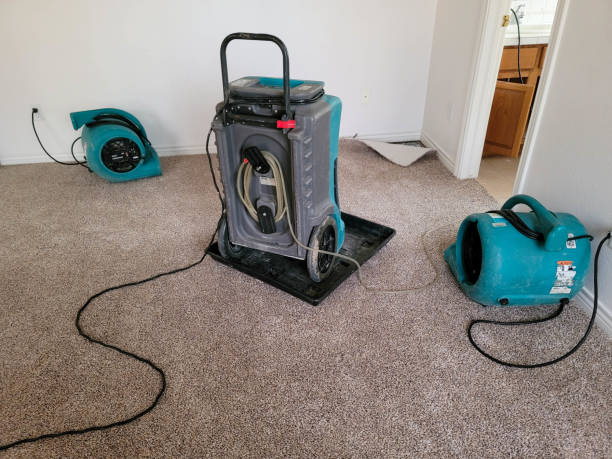 Best Flood damage cleanup  in Meadow Les, AK