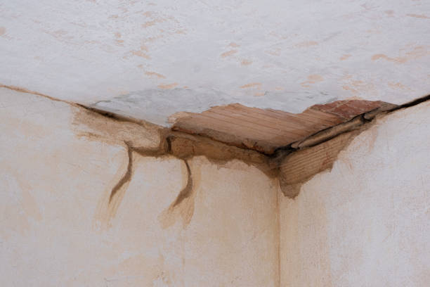 Water damage restoration insurance claims in AK