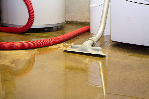 Best Flood restoration services  in Meadow Les, AK