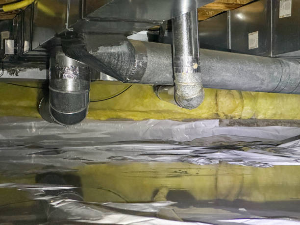 Best Sewage cleanup and water damage restoration  in Meadow Les, AK
