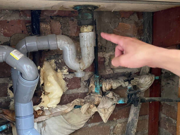 Best Emergency water damage restoration  in Meadow Les, AK