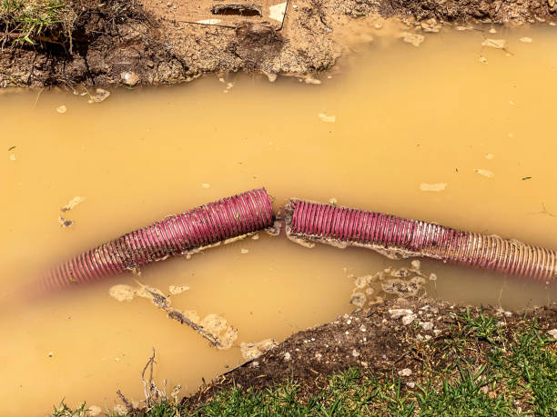 Best Residential water damage restoration  in Meadow Les, AK
