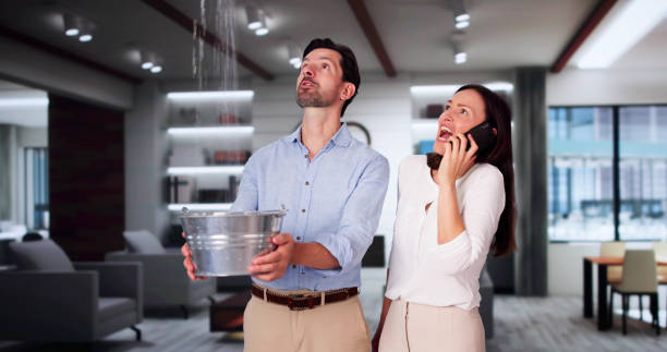 Best Carpet water damage restoration  in Meadow Les, AK